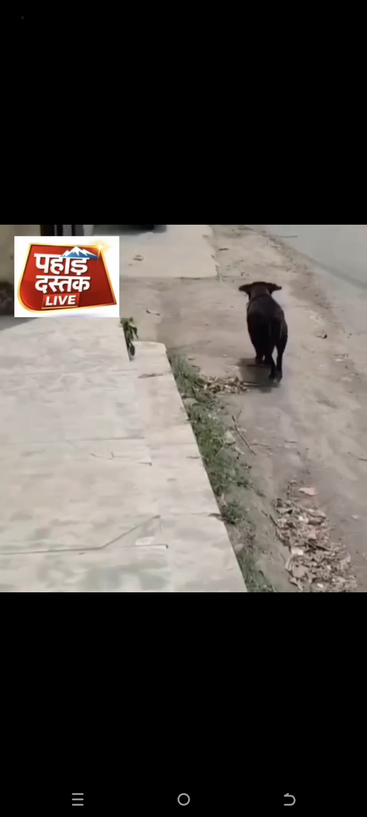 विकासनगर से आई एक दिल छू लेने वाली तस्वीर…